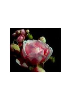 Veysel Karani Abdurrahman Önül