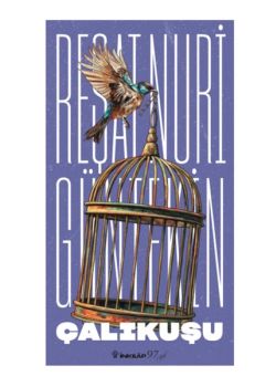 Çalıkuşu - Reşat Nuri Güntekin'in Ölümsüz Eseri!