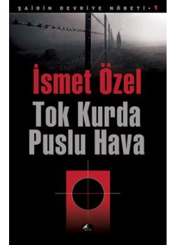 Tok Kurda Puslu Hava