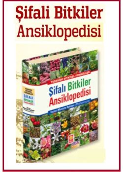 Şifalı Bitkiler  Ansiklopedisi  Hangi Hastalıklara  Hangi Bitki Iyi Gelir?
