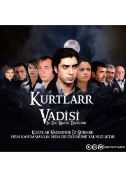 Kurtlar Vadisi Seti (65 VCD) 