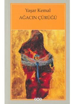 Agacin Çürügü