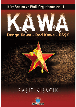 Kawa Kürt Sorunu ve Etnik Örgütlenmeler / 1