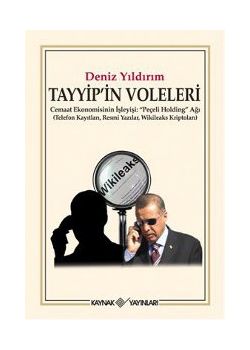 Tayyip'in Voleleri