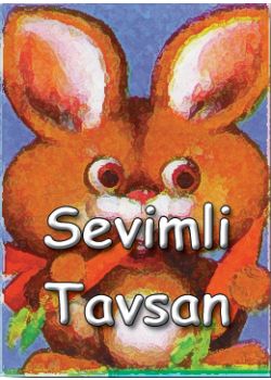 Sevimli Tavşan Sevimli Hayvanlar Dizisi