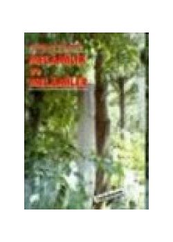 Melamilik ve Melamiler