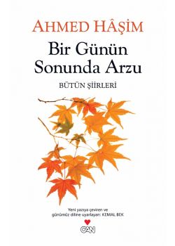 Bir Günün Sonunda Arzu