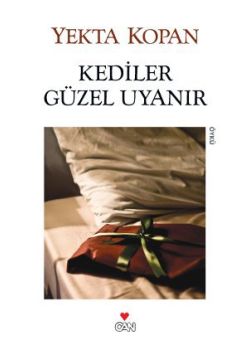 Kediler Güzel Uyanır