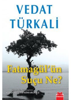 Fatmagül'ün Suçu Ne?