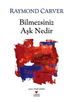 Bilmezsiniz Aşk Nedir