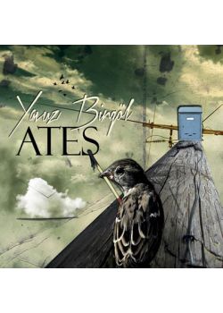 Ateş  Yavuz Bingöl