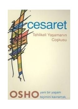 Cesaret - Tehlikeli Yaşamanın Coşkusu