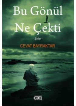 Bu Gönül Ne Çekti