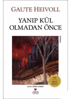 Yanıp Kül Olmadan Önce