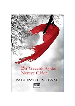 Bir Gecelik Aşklar Nereye Gider