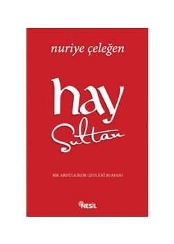 Hay Sultan  Bir Abdülkadir Geylani Romanı