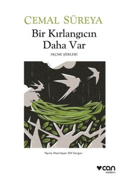 Bir Kırlangıcın Daha Var