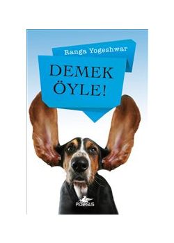 Demek Öyle