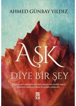 Aşk Diye Bir Şey