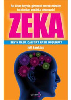 Zeka  Beyin Nası Çalışır? Nası Düşünür?