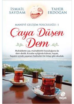 Çaya Düşen Dem
