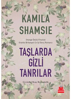 Taşlarda Gizli Tanrılar