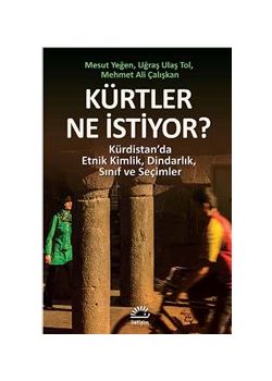 Kürtler Ne İstiyor