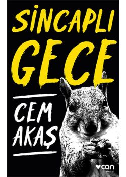 Sincaplı Gece