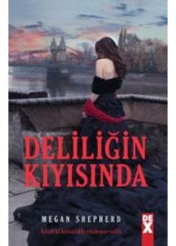 Deliliğin Kıyısında