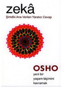 Zeka - Şimdiki Ana Verilen Yaratıcı Cevap