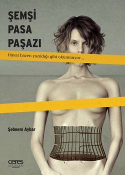 Şemsi Pasa Paşazı