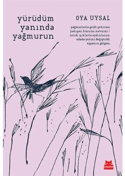 Yürüdüm Yanında Yağmurun