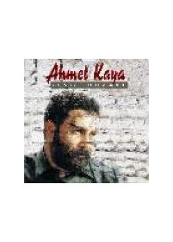 Sevgi Duvarı - Ahmet Kaya