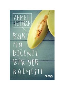 Bakmadığınız Bir Yer Kalmıştı