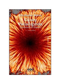Güneş Patladığında - Şizofreninin Gizemi