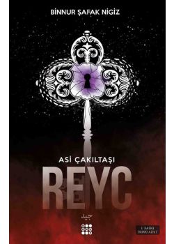 Reyc - Asi Çakıltaşı Serisi 2
