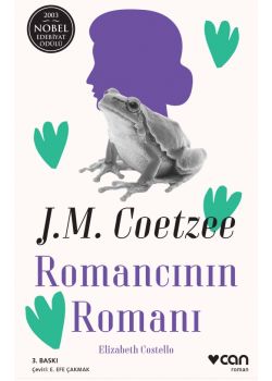 Romancının Romanı