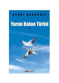 Yarım Kalan Türkü