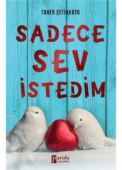 Sadece Sev İstedim