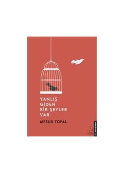 Yanlış Giden Bir Şeyler Var