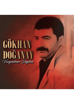 Vazgeçilmez Değilsin - Gökhan Doğanay