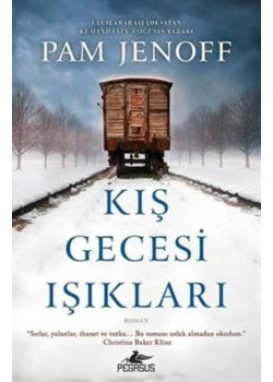 Kış Gecesi Işıkları