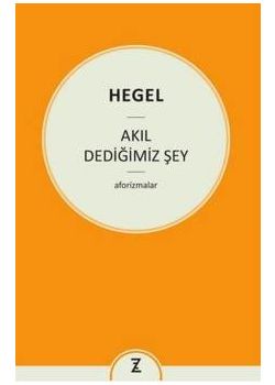 Akıl Dediğimiz Şey