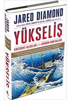 Yükseliş - Krizdeki Uluslar İçin Dönüm Noktaları 