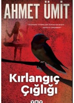 Kırlangıç Çığlığı 