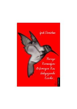 Nereye Konacağını Bilmeyen Kuş Gökyüzünde Esirdir