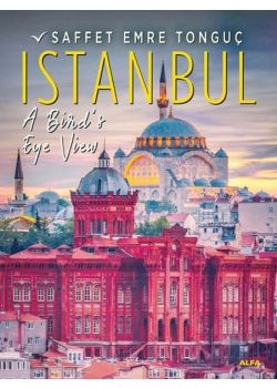 İstanbul A Birds Eye View