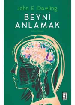 Beyni Anlamak