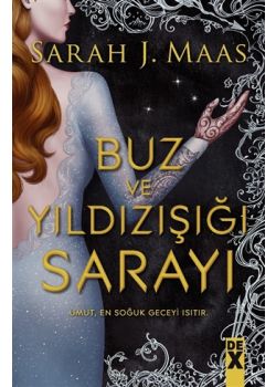 Buz ve Yıldızışığı Sarayı 