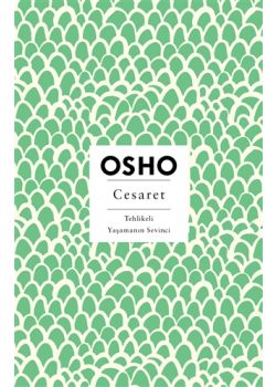 Cesaret - Tehlikeli Yaşamanın Sevinci